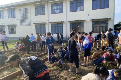 XÂY DỰNG VƯỜN THUỐC NAM – LAN TỎA GIÁ TRỊ THIÊN NHIÊN